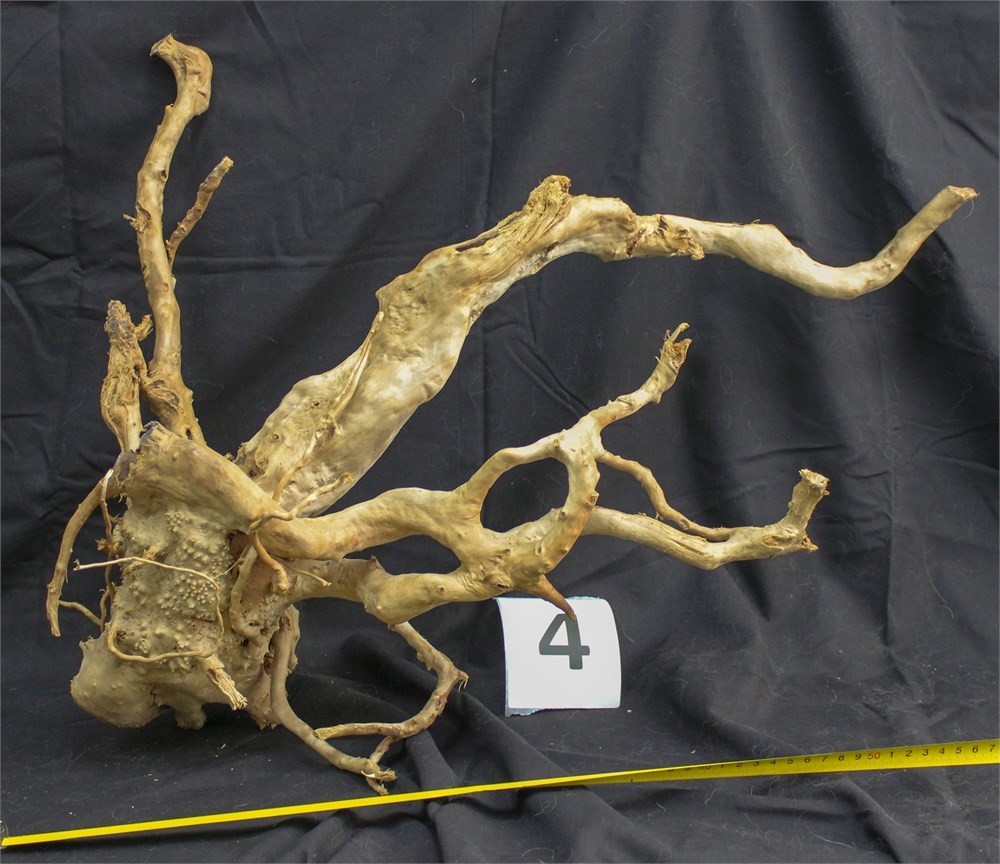 Коряга-эксклюзив Сакура (40-60 см) M №4 - на фото актуальная коряга, существует в единственном экземпляре PR-222490-4 - фото 33547