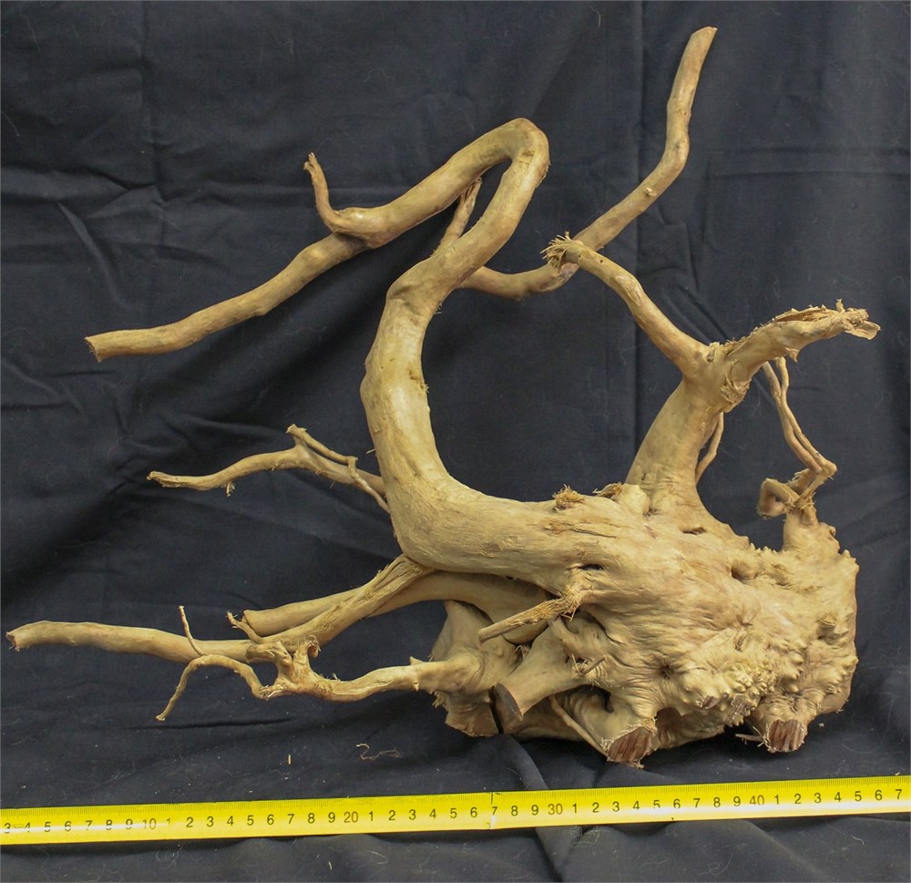 Коряга-эксклюзив Сакура (40-60 см) M №5 - на фото актуальная коряга, существует в единственном экземпляре PR-222490-5 - фото 33549