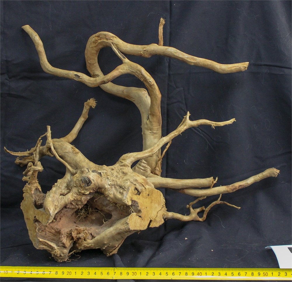 Коряга-эксклюзив Сакура (40-60 см) M №5 - на фото актуальная коряга, существует в единственном экземпляре PR-222490-5 - фото 33551