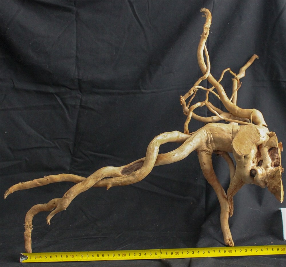 Коряга-эксклюзив Сакура (40-60 см) M №8 - на фото актуальная коряга, существует в единственном экземпляре PR-222490-8 - фото 33561