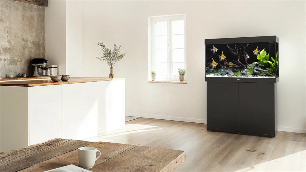 Juwel RIO 290 LED аквариум В КОМПЛЕКТЕ С ТУМБОЙ 290л черный (Black) 101х51х66см 2х17 Вт, Фильтр Bioflow L, нагреватель 300 Вт 02351 - фото 35475