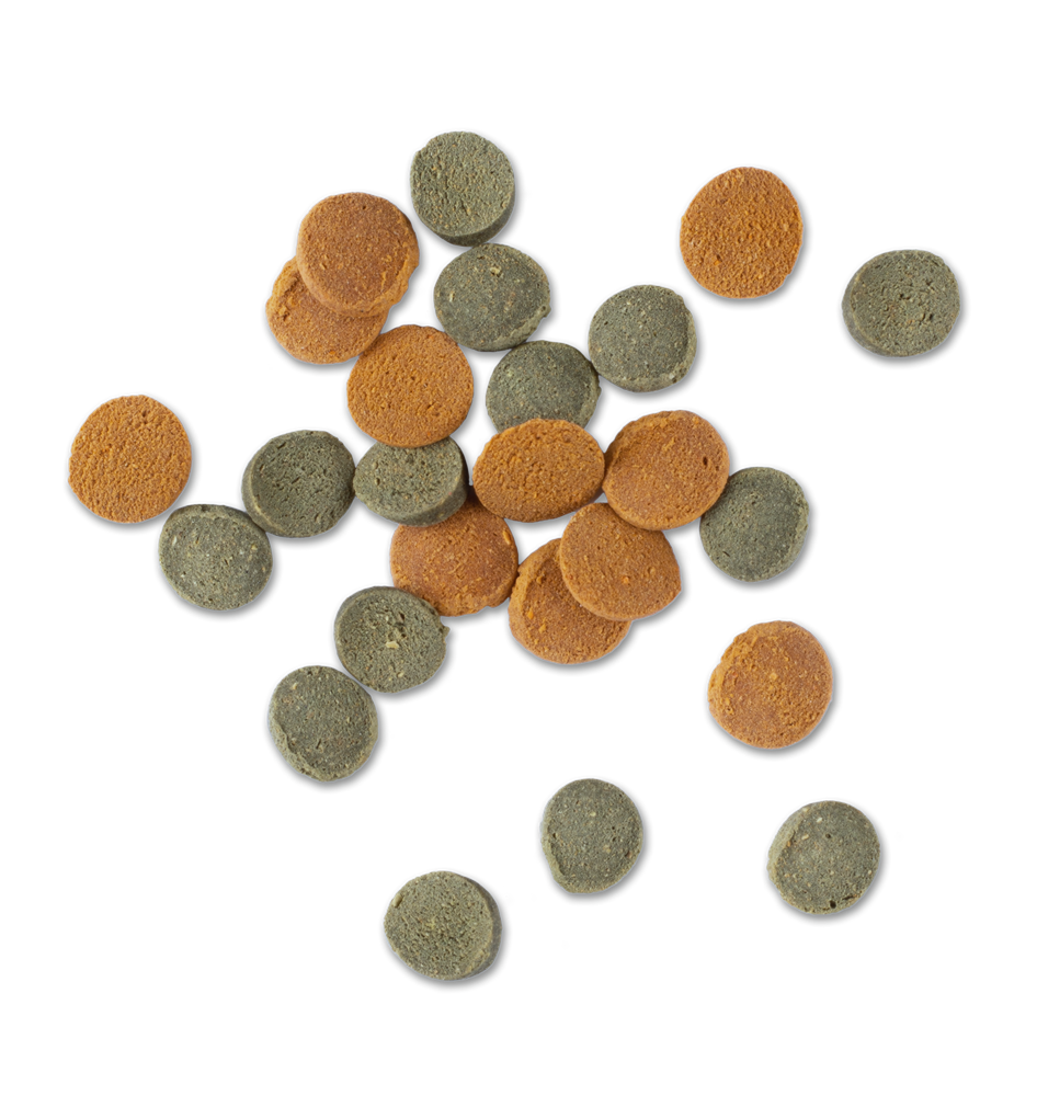 Tetra Wafer Mix 3,6 л (ведро) - корм для донных рыб и ракообразных 193826 - фото 35665