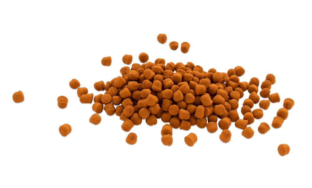 Tetra Cichlid Colour 10л - корм для улучшения окраски цихлид Tet-201392 - фото 35717