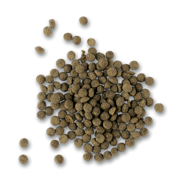 Tetra Cichlid Algae Mini 10л - основной корм для мелких травоядных цихлид 201408 - фото 35735