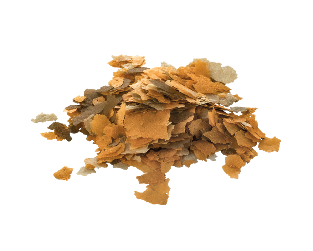 Tetra Rubin 250 мл - корм для улучшения окраски рыб (хлопья) Tet-767362 - фото 36046