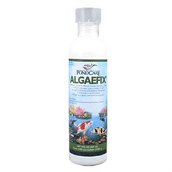 API PC Algae Fix 237 мл - Средство для борьбы с водорослями в декоративных прудах - фото 17342