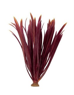 ArtUniq Blyxa red 22 - Искусственное растение Бликса красная, 6x6x22 см - фото 18490