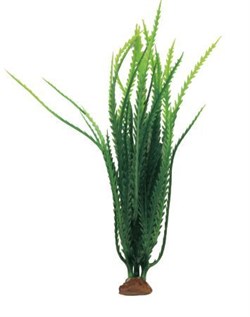 ArtUniq Hygrophila pinnatifida dark green 19 - Искусственное растение Гигрофила перистонадрезанная темно-зеленая, 6x6x19 см - фото 18500