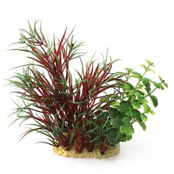 ArtUniq Lagarosiphon madagascariensis Red mix 15 - Композиция из искусственных растений Лагаросифон мадагаскарский красный, 15 см - фото 18502