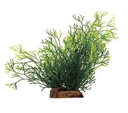 ArtUniq Nitella 18 - Искусственное растение Блестянка, 16x15x18 см - фото 18512