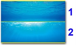 Juwel - внешний 2-сторонний фон №2 (море - море и солнце) 100х50 см - фото 20173