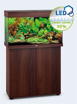 Juwel RIO 125 LED аквариум 125л темное дерево (Dark Wood) 81х36х50см 2х14W Фильтр Bioflow М, нагреватель 100 Вт - фото 20409