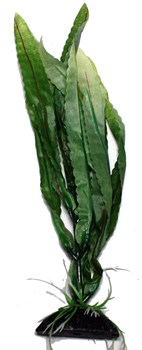 Karlie искусственное растение криптокорина  25 см - фото 20500