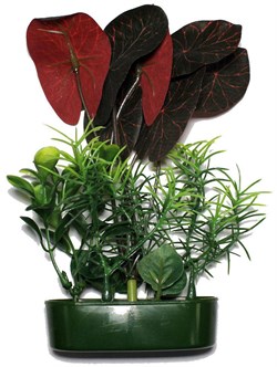 Karlie искусственное растение нимфея 15 см - фото 20504
