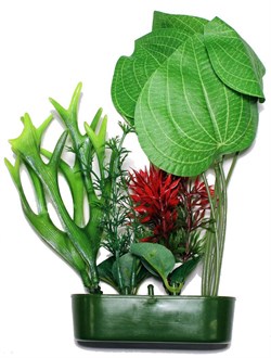 Karlie искусственное растение эхинодорус 15 см - фото 20505