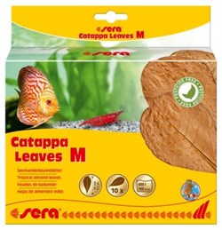 sera Catappa Leaves M 18 см (10 шт) - листья индийского миндаля - фото 20775
