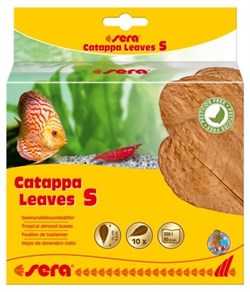 sera Catappa Leaves S 14 см (10 шт) - листья индийского миндаля - фото 20776