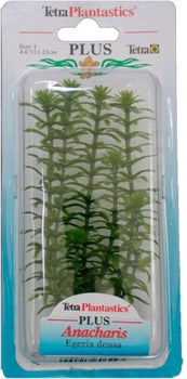 Tetra Anacharis 15 см - растение для аквариума - фото 21668