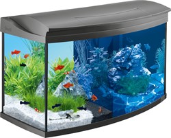 Tetra AquaArt 100 литров - панорамный аквариум с LED освещением - фото 21676