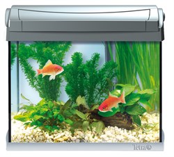 Tetra AquaArt 20 литров LED - аквариум со светодиодным освещением - фото 21693