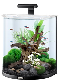 Tetra AquaArt Explorer Line 60л - аквариум со встроенным фильтром и LED-освещением - фото 21729