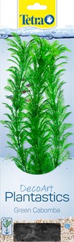 Tetra Green Cabomba 30 см - растение для аквариума - фото 22242