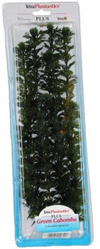 Tetra Green Cabomba 38 см - растение для аквариума - фото 22245