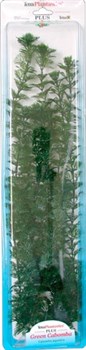 Tetra Green Cabomba 46 см - растение для аквариума - фото 22246