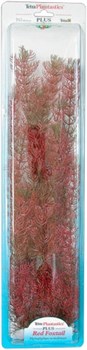 Tetra Red Foxtail 46 см - растение для аквариума - фото 22660
