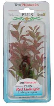 Tetra Red Ludwigia 15 см - растение для аквариума - фото 22662