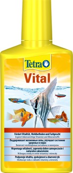 Tetra Vital  250 мл - препарат с витаминами и жизненно важными веществами для здоровья аквариумных рыб Tet-198791 - фото 22822
