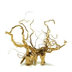 Udeco desert Driftwood XL - коряга для оформления аквариума, 50-60 см - фото 23265