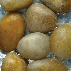 Грунт для аквариума галька шлифованная желтая, 20-40 мм, 1 кг 2014 - фото 23456