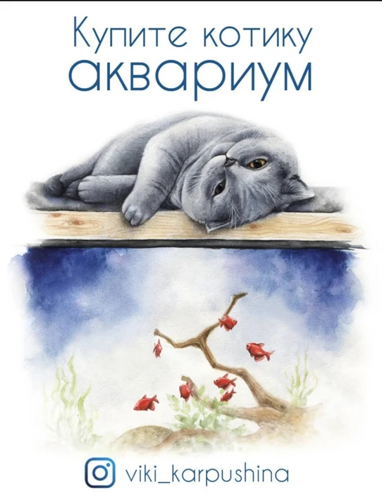 Открытка "Купите котику аквариум" - Нас объединяет аквариум (с) Виктория Карпушина VK6
