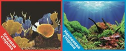 Фон двусторонний 100x50см с одной самоклеящейся стороной Морские кораллы (СК)/Подводный мир - фото 25315
