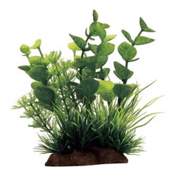 ArtUniq Bacopa mix 12 - Композиция из искусственных растений Бакопа, 10x5x12 см - фото 26079
