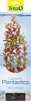 Tetra Red Ludwigia 30 см - растение для аквариума - фото 26486