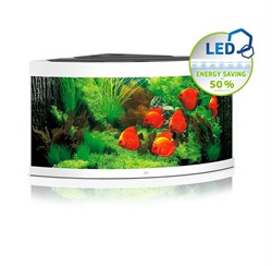 Juwel TRIGON 350 LED аквариум 350л белый (White) 123х87х65см 2х12W/2х23W Фильтр Bioflow XL, нагреватель 300 Вт - фото 27249