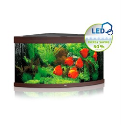Juwel TRIGON 350 LED аквариум 350л темное дерево (dark wood) 123х87х65см 2х12W/2х23W Фильтр Bioflow XL, - фото 27253