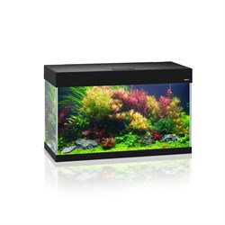 AQUAEL OPTI SET 125 л (чёрный) - аквариум из осветлённого стекла Opti White, 81x36x51 см - фото 27610