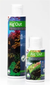 Prodibio Alg`Out, антифосфатный комплекс, 250мл для аквариумов до 10000л - PD-010015 - фото 29742