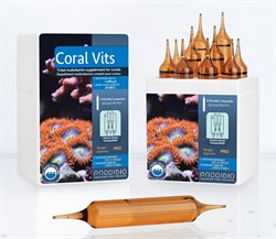 Prodibio Coral Vits (10 больших ампул) жиро и водорастворимые витамины для кораллов для акв. от 1000 до 20000л. - фото 29762