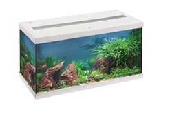 EHEIM aquastar 54 LED - аквариум белый 54л  60x30x30см - фото 30194