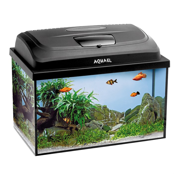 AQUAEL AQUA 4KIDS 40 / 25 л - прямоугольный аквариум для детей с освещением, набором оборудования и аксессуаров 124270 - фото 36071