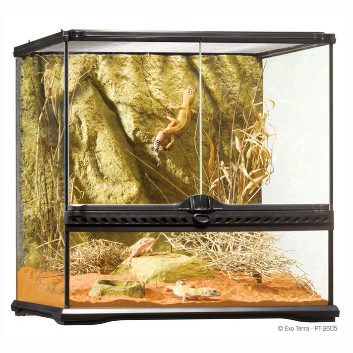 EXO TERRA Natural Terrarium Small - террариум из силикатного стекла, 45x45x45 см H226059