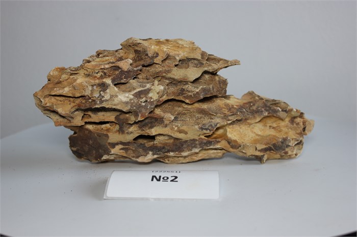 Камень "Дракон" М №2- на фото - именно тот камень, который вы получите PR-222551-2