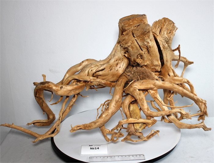 Коряга-эксклюзив Сакура (66x40x37 см) M++ №14 - на фото актуальная коряга, существует в единственном экземпляре PR-222490-14