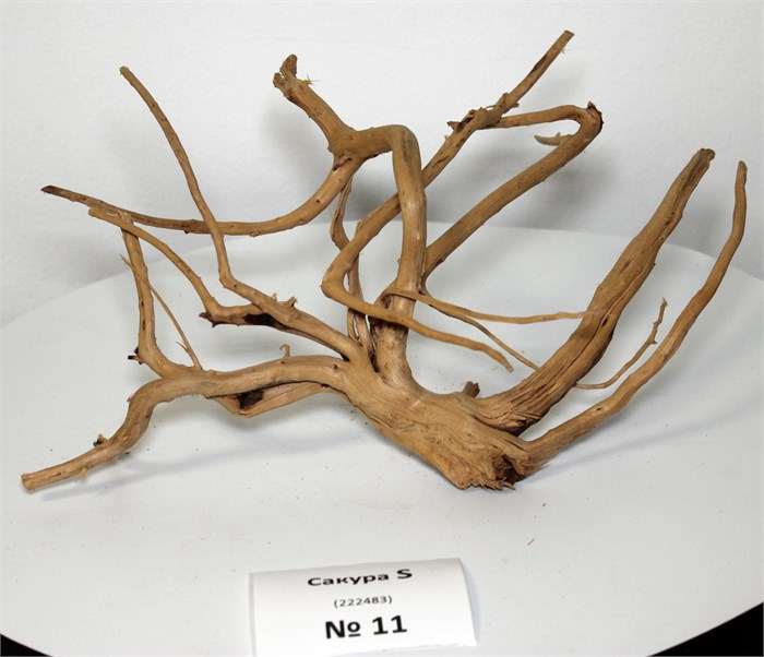 Коряга-эксклюзив Сакура (30x21x14 см) S №11 - на фото актуальная коряга, существует в единственном экземпляре PR-222483-11