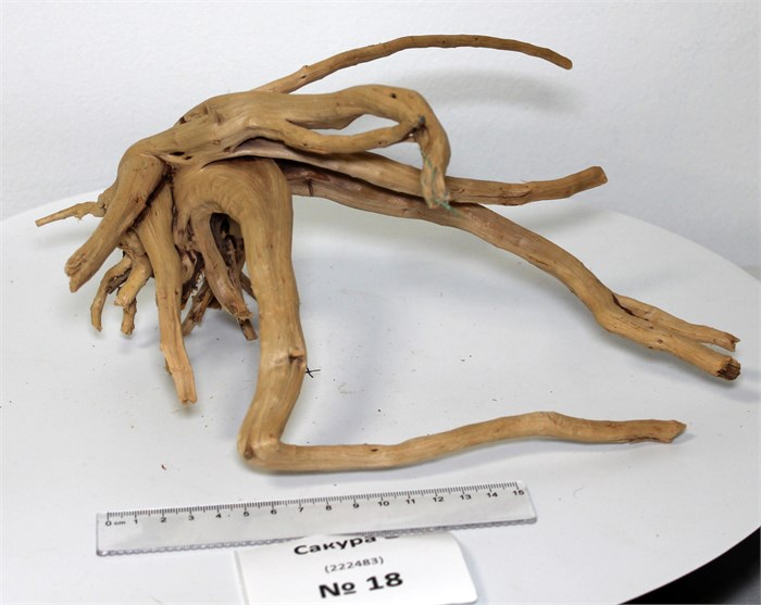 Коряга-эксклюзив Сакура (29x19x14 см) S №18 - на фото актуальная коряга, существует в единственном экземпляре PR-222483-18