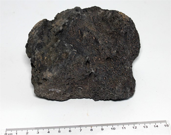 Камень-эксклюзив Чёрный вулканический М (10-20 см) №3 - на фото актуальный камень, существует в единственном экземпляре PR-222520-3